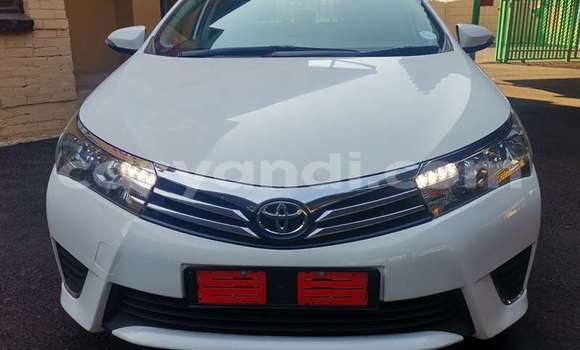 Tenga Tsaru Toyota Corolla Chena Mota in Chilanga in Lusaka Tenga Tsaru Toyota Corolla Chena Mota in Chilanga in Lusaka