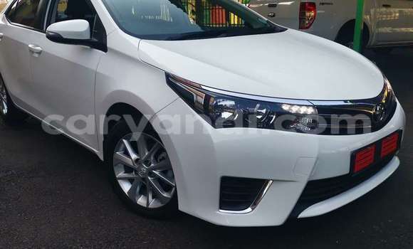 Tenga Tsaru Toyota Corolla Chena Mota in Chilanga in Lusaka Tenga Tsaru Toyota Corolla Chena Mota in Chilanga in Lusaka