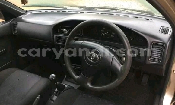 Buy Used Toyota Altezza Brown Car in Chilanga in Lusaka Buy Used Toyota Altezza Brown Car in Chilanga in Lusaka