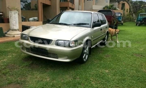 Buy Used Toyota Altezza Brown Car in Chilanga in Lusaka Buy Used Toyota Altezza Brown Car in Chilanga in Lusaka