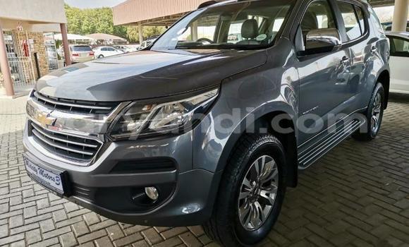 Tenga Tsaru Chevrolet TrailBlazer Zvimwe Mota in Chipata in Zambia Tenga Tsaru Chevrolet TrailBlazer Zvimwe Mota in Chipata in Zambia