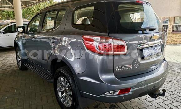 Acheter Occasion Voiture Chevrolet TrailBlazer Autre à Chipata, Zambie Acheter Occasion Voiture Chevrolet TrailBlazer Autre à Chipata, Zambie
