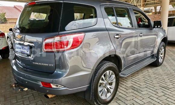 Acheter Occasion Voiture Chevrolet TrailBlazer Autre à Chipata, Zambie Acheter Occasion Voiture Chevrolet TrailBlazer Autre à Chipata, Zambie