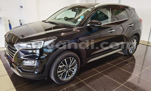 Nunua Ilio tumika Hyundai Tucson Nyeusi Gari ndani ya Chama nchini Kusini Nunua Ilio tumika Hyundai Tucson Nyeusi Gari ndani ya Chama nchini Kusini