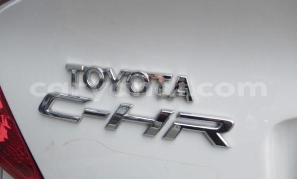 Buy Used Toyota C-HR White Car in Lusaka in Zambia Buy Used Toyota C-HR White Car in Lusaka in Zambia