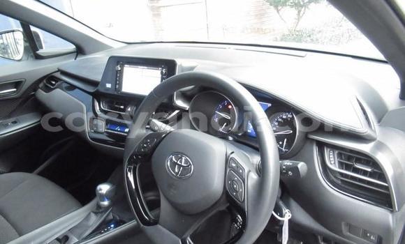 Buy Used Toyota C-HR White Car in Lusaka in Zambia Buy Used Toyota C-HR White Car in Lusaka in Zambia