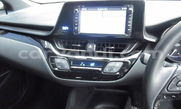 Buy Used Toyota C-HR White Car in Lusaka in Zambia Buy Used Toyota C-HR White Car in Lusaka in Zambia