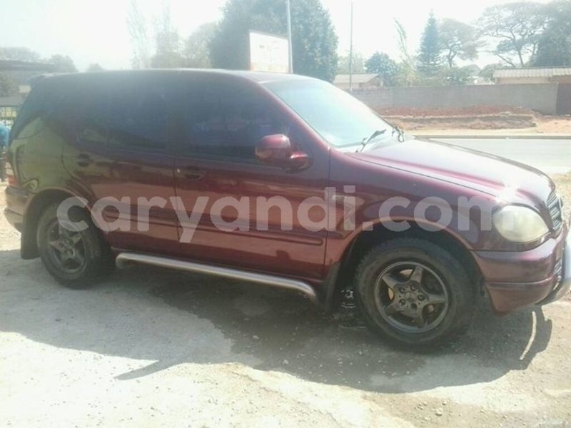 Big with watermark 30623955 578122035882356 6857030771144654848 n