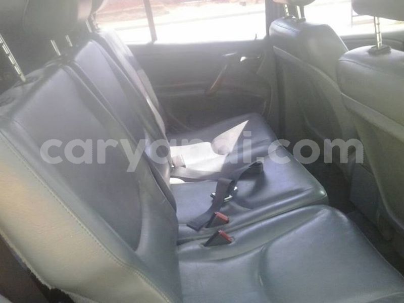 Big with watermark 30629329 194112211393369 244064733525704704 n