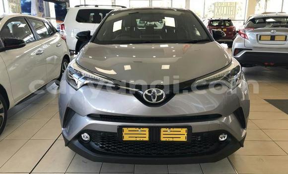Nunua Ilio tumika Toyota C-HR Fedha Gari ndani ya Chipata nchini Zambia