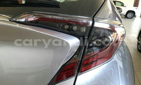 Tenga Tsaru Toyota C-HR Sirivha Mota in Chipata in Zambia Tenga Tsaru Toyota C-HR Sirivha Mota in Chipata in Zambia