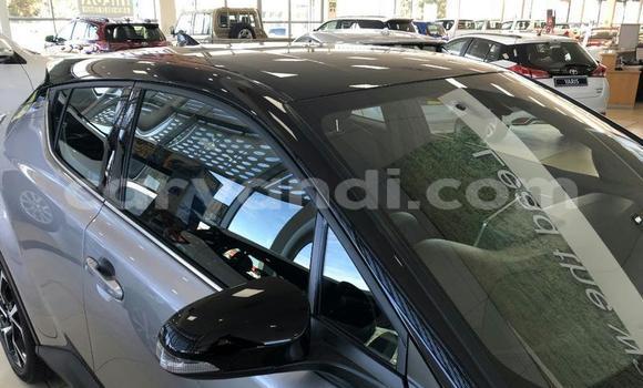 Tenga Tsaru Toyota C-HR Sirivha Mota in Chipata in Zambia Tenga Tsaru Toyota C-HR Sirivha Mota in Chipata in Zambia