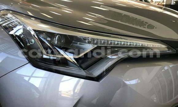 Tenga Tsaru Toyota C-HR Sirivha Mota in Chipata in Zambia Tenga Tsaru Toyota C-HR Sirivha Mota in Chipata in Zambia