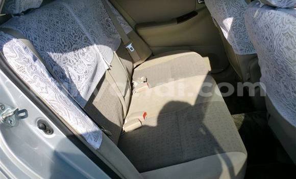 Tenga Tsaru Toyota Runx Sirivha Mota in Chingola in Zambia Tenga Tsaru Toyota Runx Sirivha Mota in Chingola in Zambia