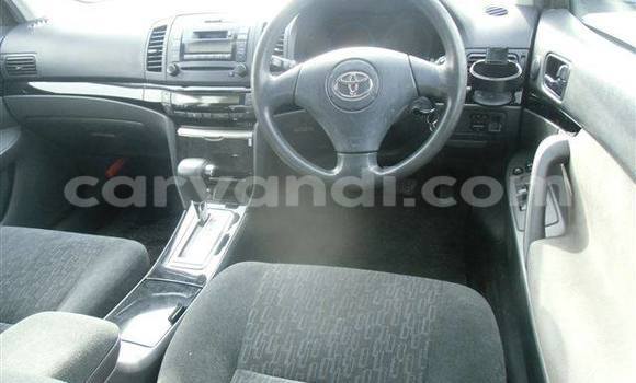 Tenga Tsaru Toyota 4Runner Nhema Mota in Chingola in Zambia Tenga Tsaru Toyota 4Runner Nhema Mota in Chingola in Zambia