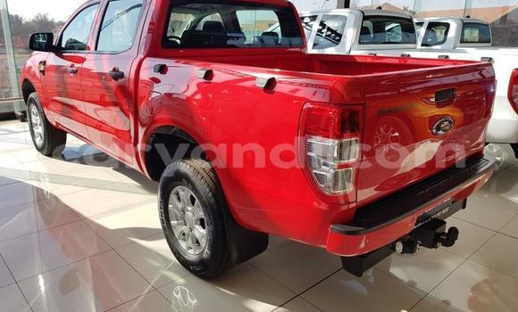 Buy Used Ford Ranger Red Car in Lusaka in Zambia Buy Used Ford Ranger Red Car in Lusaka in Zambia