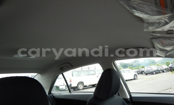 Acheter Occasion Voiture Toyota Premio Marron à Chipata, Zambie Acheter Occasion Voiture Toyota Premio Marron à Chipata, Zambie