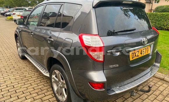 Buy Used Toyota RAV4 Beige Car in Chipata in Zambia Buy Used Toyota RAV4 Beige Car in Chipata in Zambia