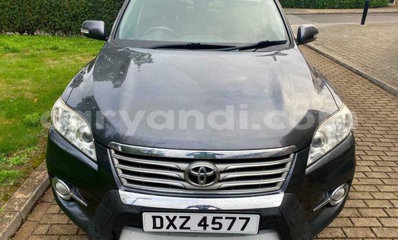 Buy Used Toyota RAV4 Beige Car in Chipata in Zambia Buy Used Toyota RAV4 Beige Car in Chipata in Zambia