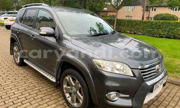 Buy Used Toyota RAV4 Beige Car in Chipata in Zambia Buy Used Toyota RAV4 Beige Car in Chipata in Zambia