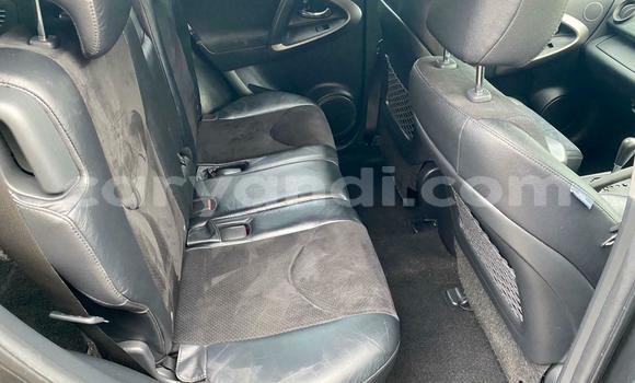 Buy Used Toyota RAV4 Beige Car in Chipata in Zambia Buy Used Toyota RAV4 Beige Car in Chipata in Zambia