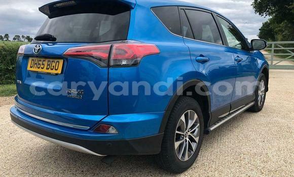Buy Used Toyota RAV4 Blue Car in Chipata in Zambia Buy Used Toyota RAV4 Blue Car in Chipata in Zambia