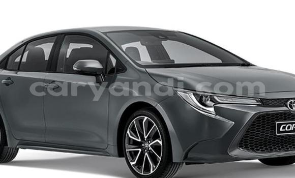 Buy Used Toyota Corolla Silver Car in Lusaka in Zambia