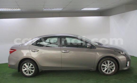 Buy Used Toyota Corolla Silver Car in Lusaka in Zambia