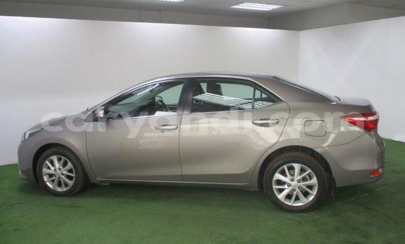 Acheter Occasion Voiture Toyota Corolla Gris à Lusaka, Zambie Acheter Occasion Voiture Toyota Corolla Gris à Lusaka, Zambie