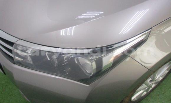 Acheter Occasion Voiture Toyota Corolla Gris à Lusaka, Zambie Acheter Occasion Voiture Toyota Corolla Gris à Lusaka, Zambie