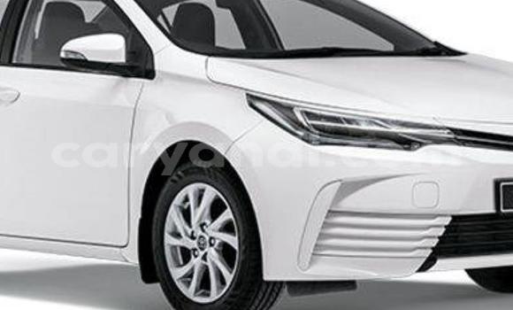 Buy New Toyota Corolla White Car in Lusaka in Zambia