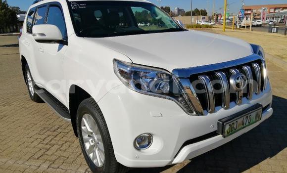 Buy Used Toyota Land Cruiser Prado White Car in Lusaka in Zambia
