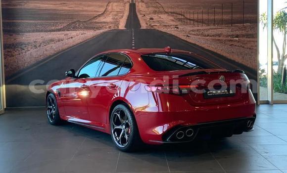 Buy New Alfa Romeo Giulia Red Car in Lusaka in Zambia