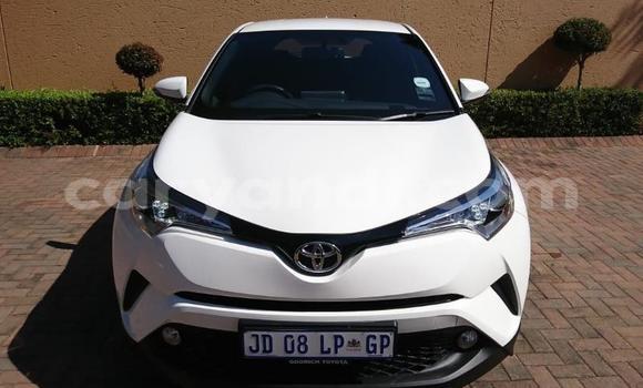 Buy Used Toyota C-HR White Car in Lusaka in Zambia