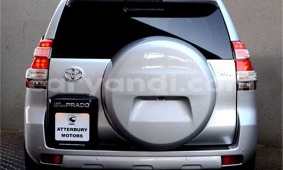 Tenga Tsaru Toyota Land Cruiser Prado Sirivha Mota in Zambezi in North-Western