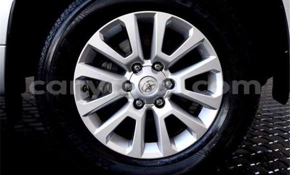 Tenga Tsaru Toyota Land Cruiser Prado Sirivha Mota in Zambezi in North-Western Tenga Tsaru Toyota Land Cruiser Prado Sirivha Mota in Zambezi in North-Western