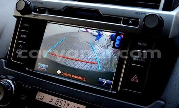 Tenga Tsaru Toyota Land Cruiser Prado Sirivha Mota in Zambezi in North-Western Tenga Tsaru Toyota Land Cruiser Prado Sirivha Mota in Zambezi in North-Western