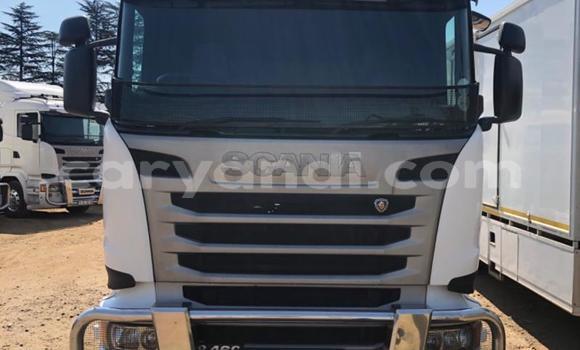 Buy Used Scania R420 White Truck in Livingstone in Zambia