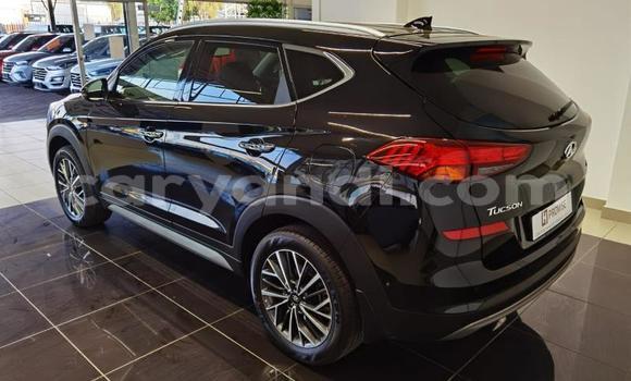 Buy Used Hyundai Tucson Black Car in Lusaka in Zambia Buy Used Hyundai Tucson Black Car in Lusaka in Zambia