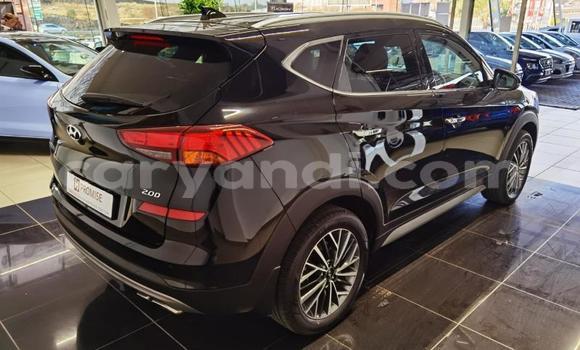 Buy Used Hyundai Tucson Black Car in Lusaka in Zambia Buy Used Hyundai Tucson Black Car in Lusaka in Zambia