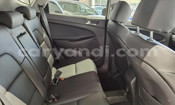 Buy Used Hyundai Tucson Black Car in Lusaka in Zambia Buy Used Hyundai Tucson Black Car in Lusaka in Zambia