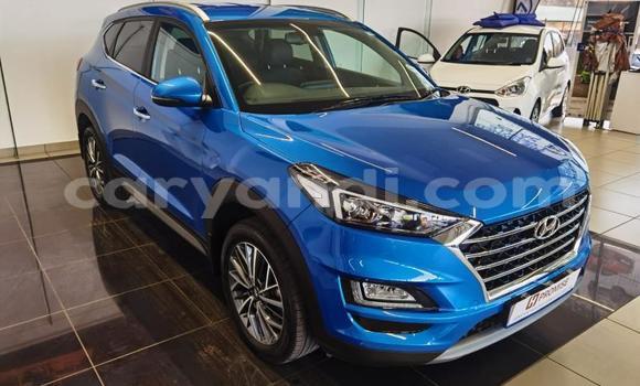 Buy Used Hyundai Tuscani Blue Car in Ndola in Zambia