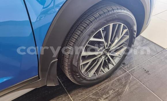 Tenga Tsaru Hyundai Tuscani Bhuruu Mota in Ndola in Zambia Tenga Tsaru Hyundai Tuscani Bhuruu Mota in Ndola in Zambia
