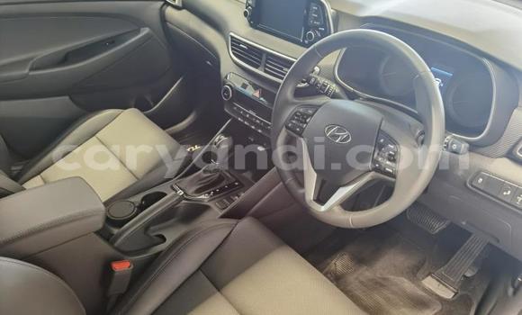 Tenga Tsaru Hyundai Tuscani Bhuruu Mota in Ndola in Zambia Tenga Tsaru Hyundai Tuscani Bhuruu Mota in Ndola in Zambia