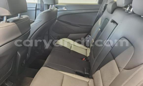 Tenga Tsaru Hyundai Tuscani Bhuruu Mota in Ndola in Zambia Tenga Tsaru Hyundai Tuscani Bhuruu Mota in Ndola in Zambia