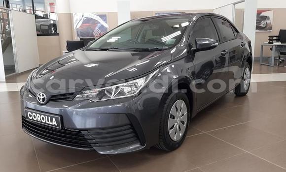 Acheter Occasion Voiture Toyota Corolla Gris à Lusaka, Zambie