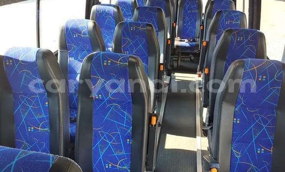 Tenga Tsaru Iveco Cargo Chena Rori in Lusaka in Zambia Tenga Tsaru Iveco Cargo Chena Rori in Lusaka in Zambia