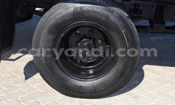 Tenga Tsaru Nissan UD Chena Rori in Lusaka in Zambia Tenga Tsaru Nissan UD Chena Rori in Lusaka in Zambia