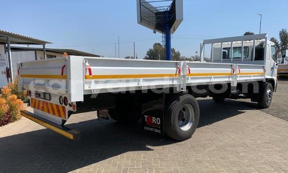 Tenga Tsaru Hino 300 Series Chena Rori in Lusaka in Zambia Tenga Tsaru Hino 300 Series Chena Rori in Lusaka in Zambia