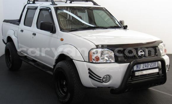 Tenga Tsaru Nissan NP 300 Chena Mota in Lusaka in Zambia Tenga Tsaru Nissan NP 300 Chena Mota in Lusaka in Zambia